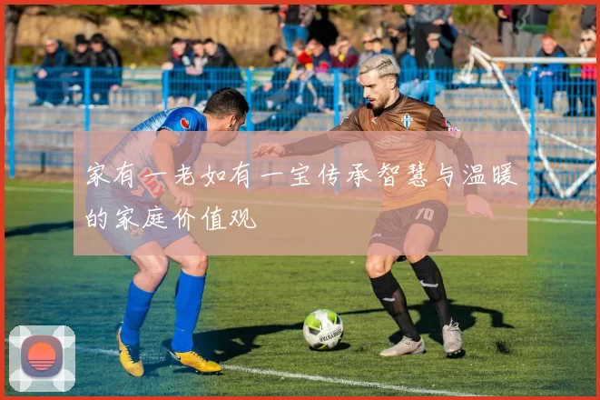 家有一老如有一宝传承智慧与温暖的家庭价值观